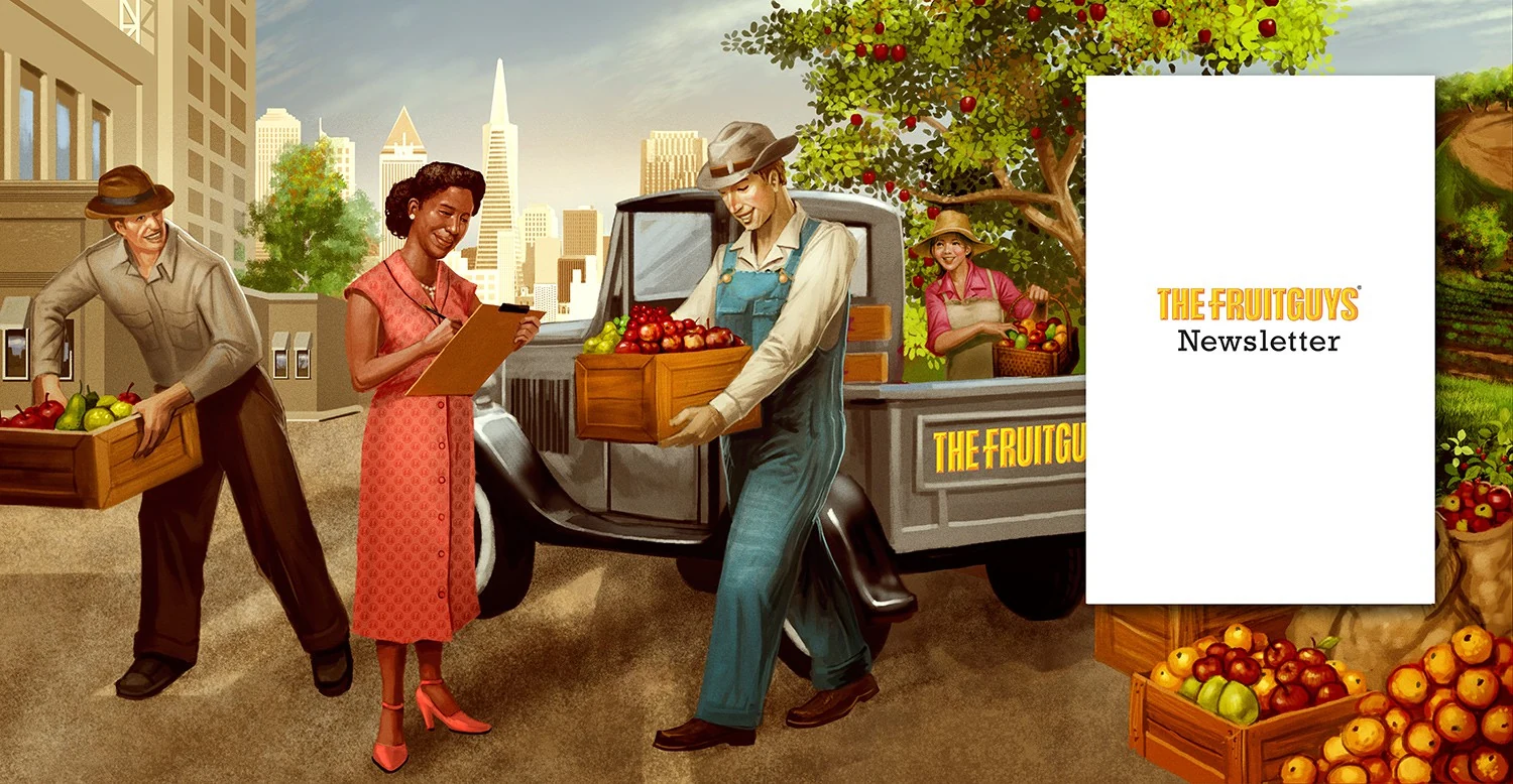 The FruitGuys Newsletter illustration project