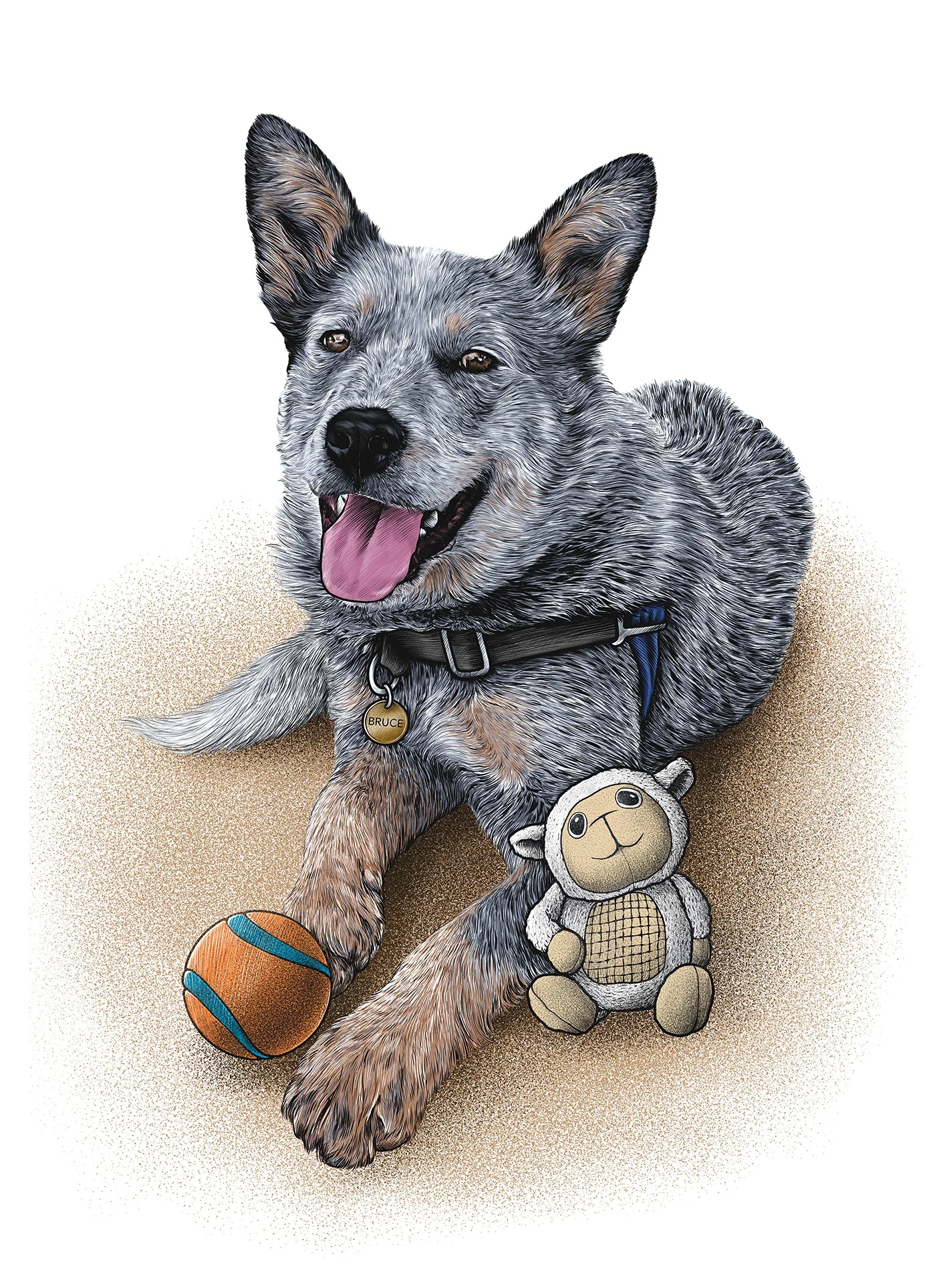 Bruce Pet Illustration illustration project